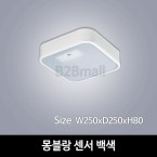 [하남조명] 몽블랑 센서 백색 (광학산아크릴,알루미늄) (HN-A4-06(72))