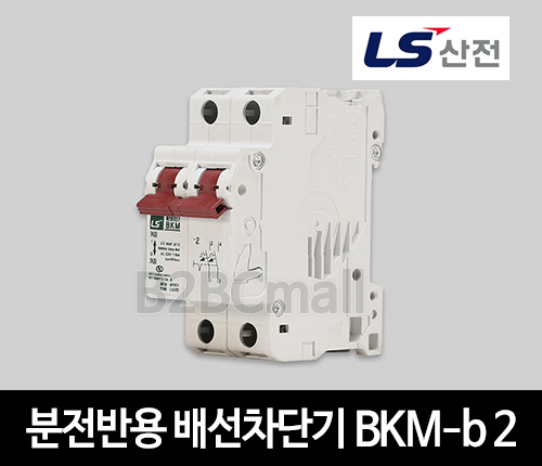 LS산전 분전반용 배선차단기 BKM-b 2 2A 4A BK63H 2P