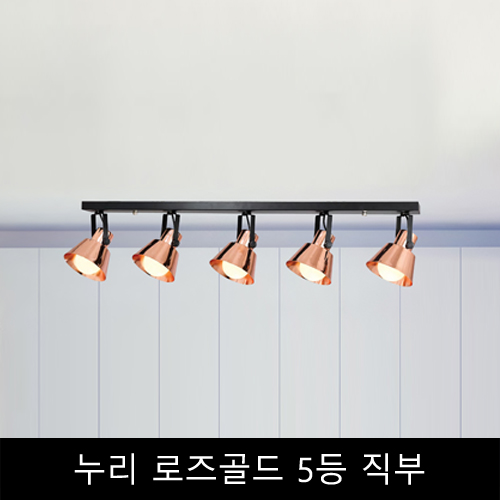 누리	로즈골드	5등	직부